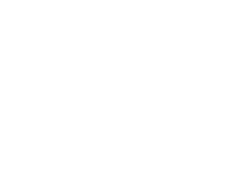 A.C.E. BUSINESS SOLUTION ACEビジネスソリューション株式会社